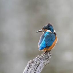 90d-400mm f5,6-3200iso