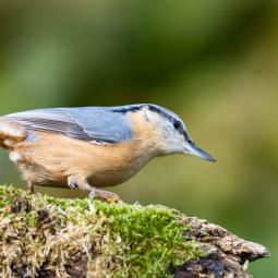 90d-400mm f5,6-800iso