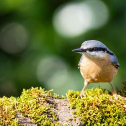 90d-400mm f5,6-800iso