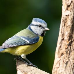 90d-400mm f5,6-800iso